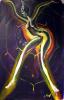 Picture - The spider woman