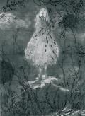 Nicolai Huch, Nachts ist es aft warm in Garten -2011- 24,5 x 18cm,encre sur papier et transparent,Courtesy GaleriePolad-Hardouin