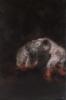 Picture - Les siamois II
