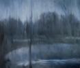 Picture - After a night rain 3