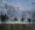 Picture - After a night rain 1