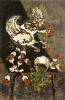 Picture - Restes festifs