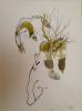 Picture - Sans titre (PH 5528)