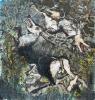 Picture - Scène de chasse
